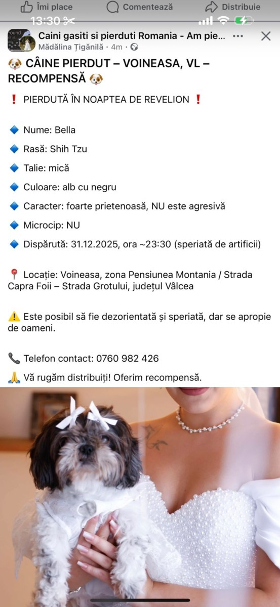 WhatsApp Image 2026-01-01 at 14.16.15