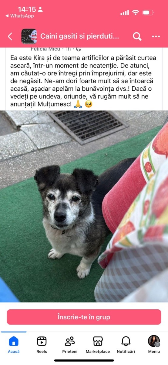 WhatsApp Image 2026-01-01 at 14.16.21