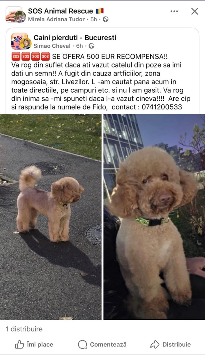 WhatsApp Image 2026-01-01 at 14.21.30