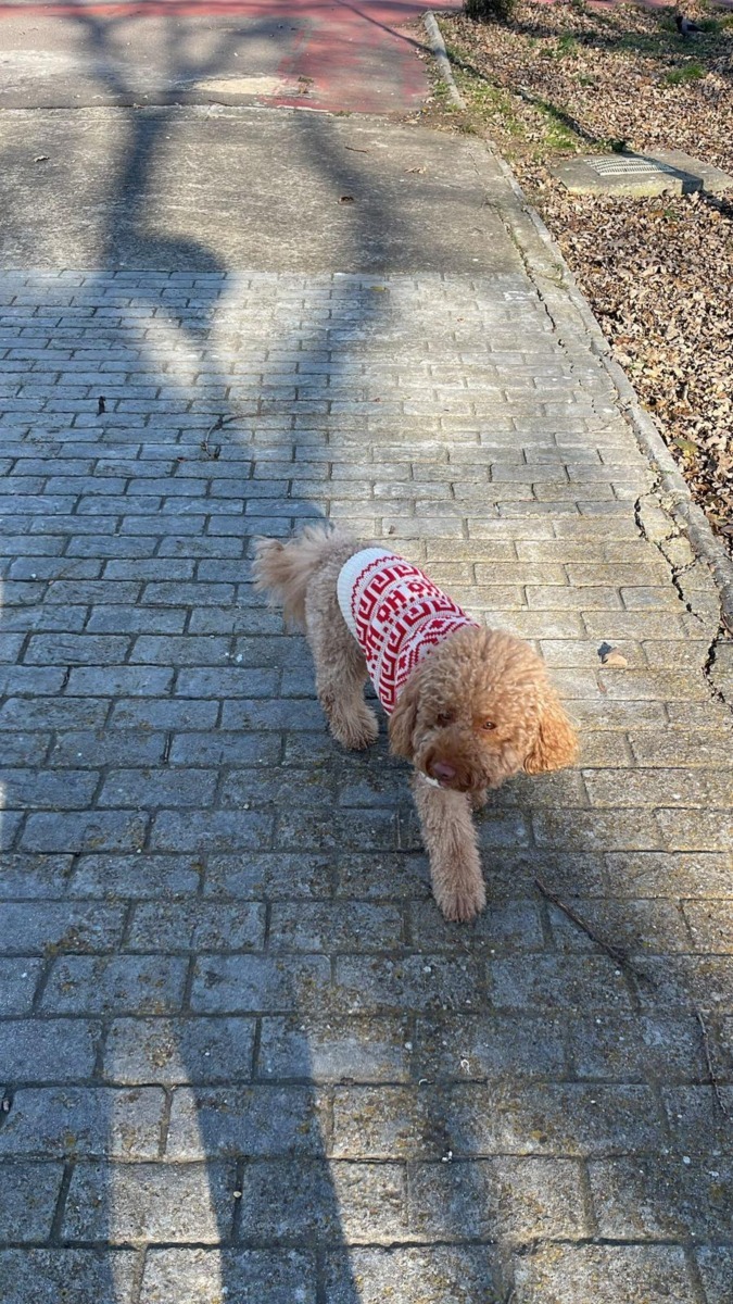 WhatsApp Image 2026-01-01 at 14.44.18