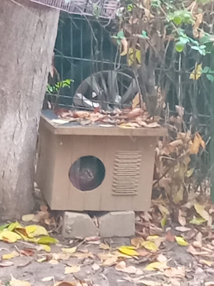 WhatsApp Image 2026-01-02 at 16.01.08