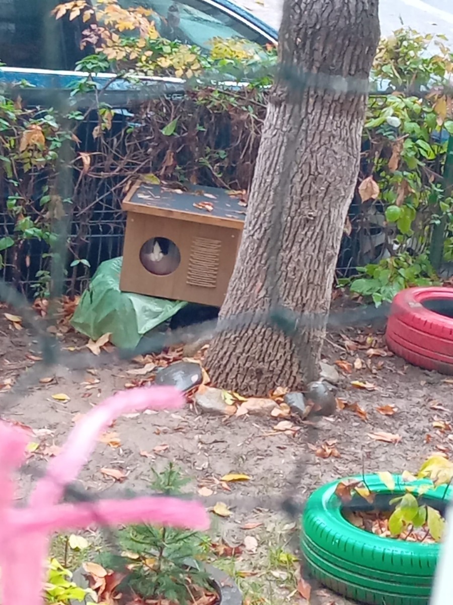 WhatsApp Image 2026-01-02 at 16.01.09 (1)