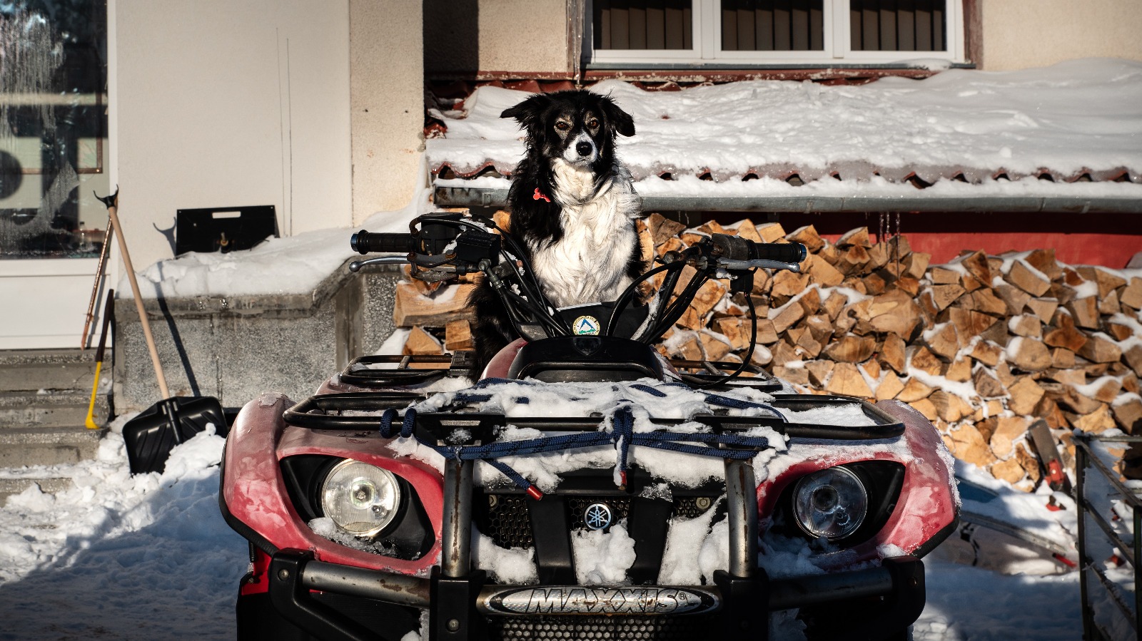 a8ce7ae6-56cd-4f84-8a5f-3b94da6f558e