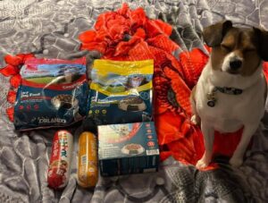 Un câine stă pe pat, lângă mai multe pachete cu hrană pentru animale