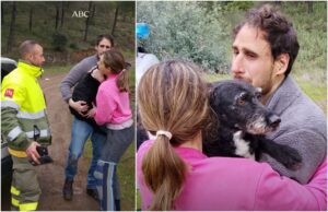 cainele salvat predat stapanilor sai