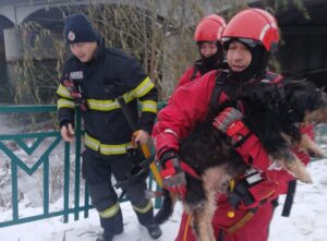 Câine salvat de pompieri din apele înghețate ale unui râu