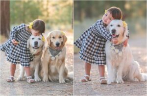 copil cu cei doi caini golden retriever