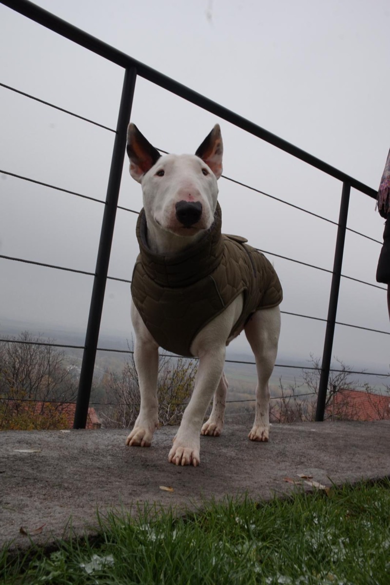 d8c08157-070a-4328-95c1-0e8b947e7abd