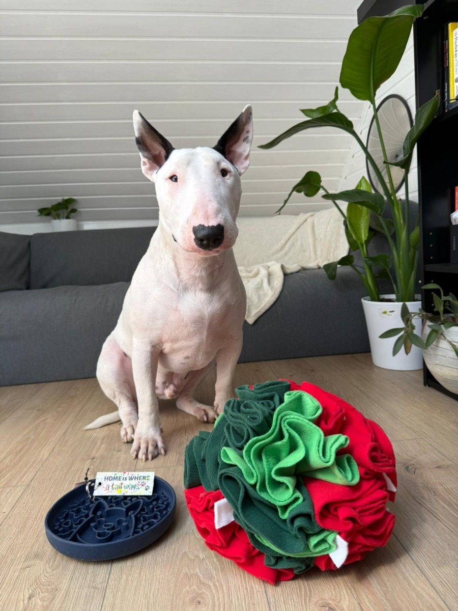 f4dccd11-a2f2-40a8-bfd8-8e2e75581343