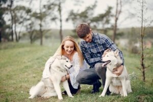 stapanii si cei doi caini