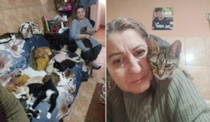 stapana si animalele pe care le ingrijeste