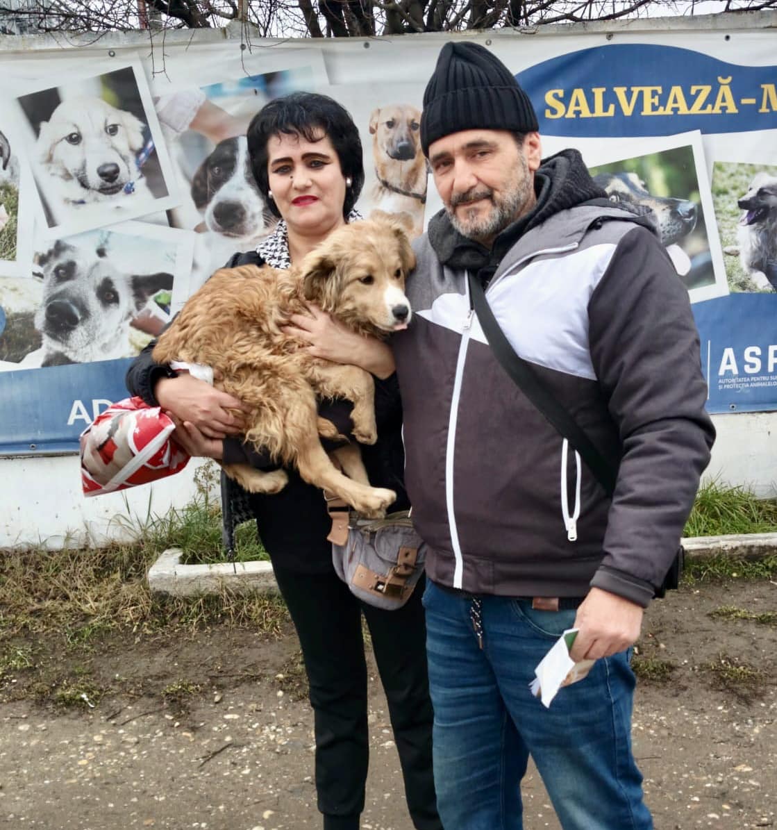 molly-catelusa-aspa-familie