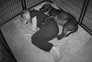 medicul doarme langa caine