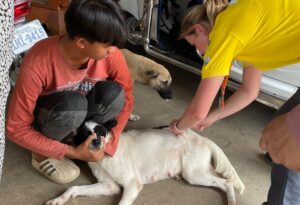 o-mare-tragedie-transformata-intr-un-record-mondial