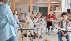 cainele sta in banca, alaturi de elevi