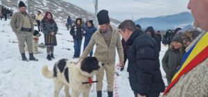 ciobanesc de bucovina