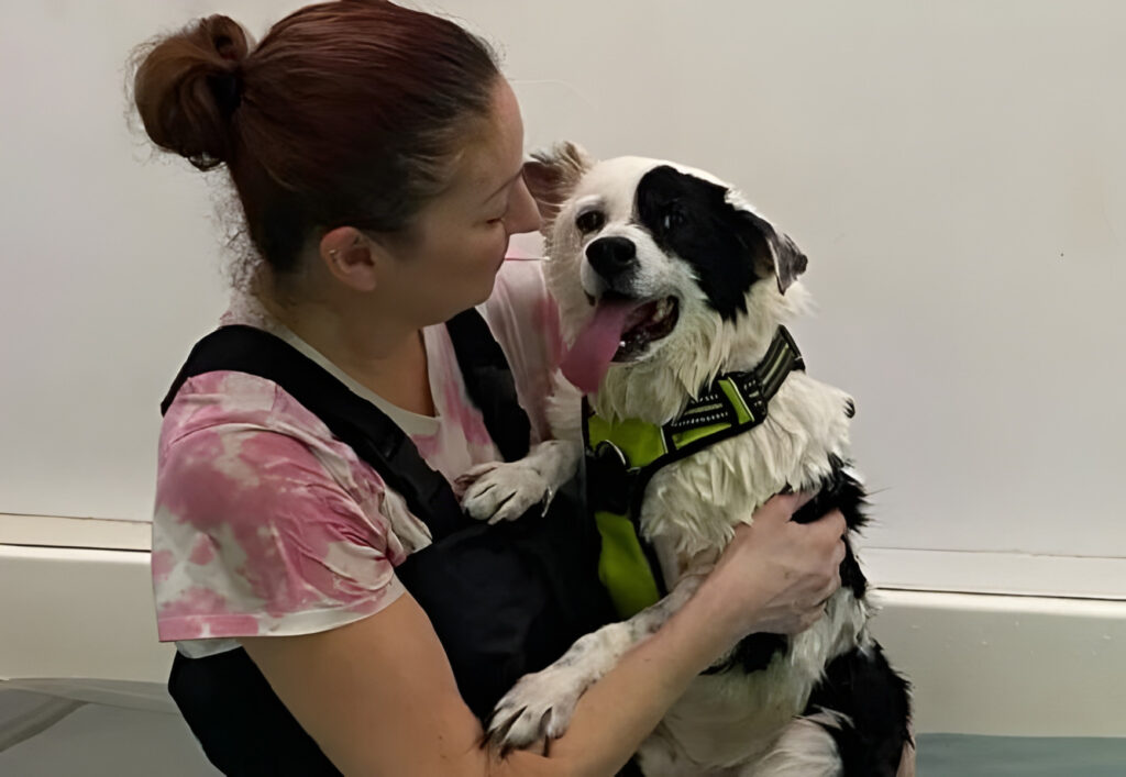 Câine ținut în brațe de stăpâna lui