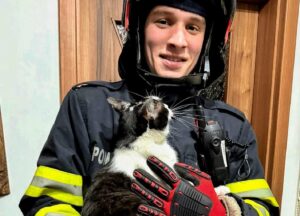 Un pompier din Timiș ține în brațe pisica pe care a salvat-o