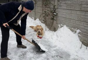 primarul Sectorului 6 a iesit la deszapezire cu cainele sau