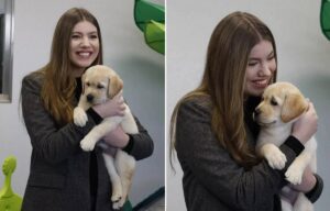 printesa-sofia-caini-ghizi