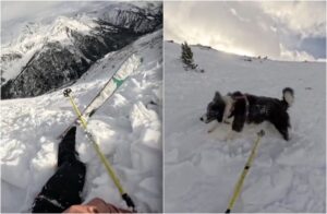 schior si cainele surprinsi de avalansa
