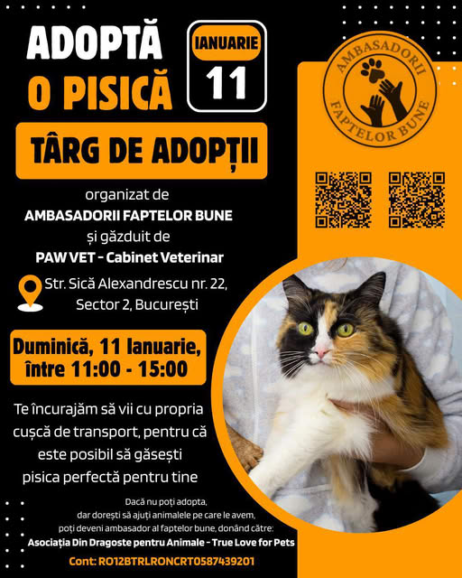 trag de adoptii pisici pe 11 ianuarie 2026