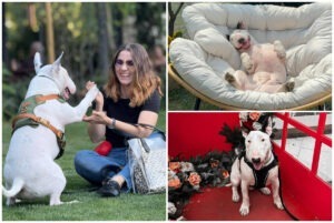 Colaj cu Toto și Denisa Gogu