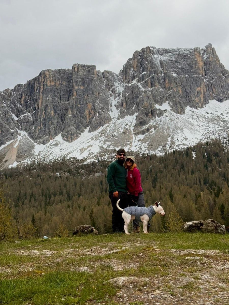 toto-bull-terrier-timisoara (12)