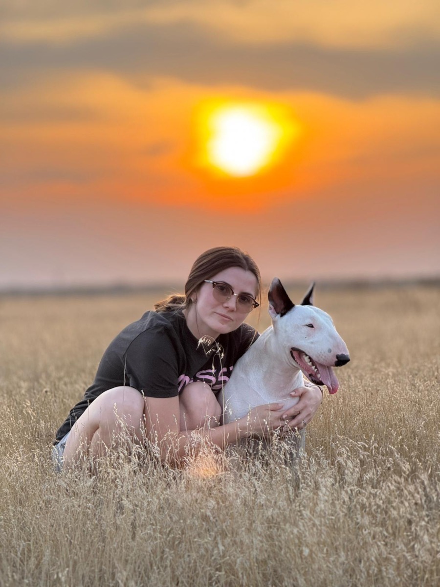 toto-bull-terrier-timisoara (2)