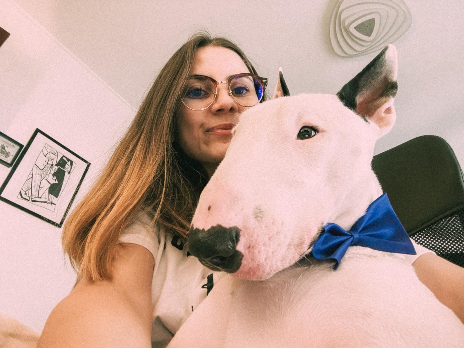 toto-bull-terrier-timisoara (7)