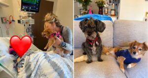 ultimul-cuvant-al-mamei-muribunde-a-fost-numele-cainelui-ei