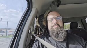 un-american-s-a-mtat-in-romania-cu-pisicile-mama-si-o-prietena