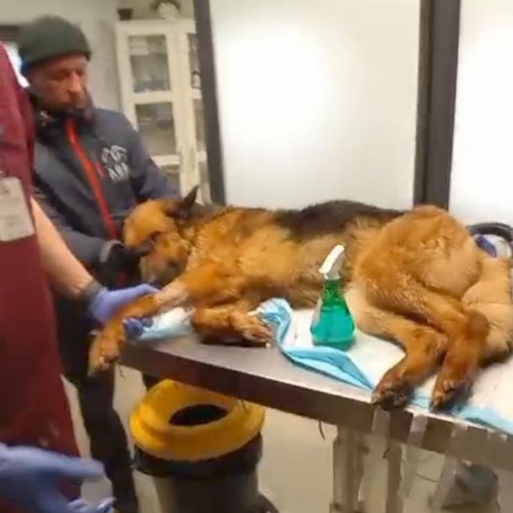 624567309_1242150054736796_4530470219064458961_n