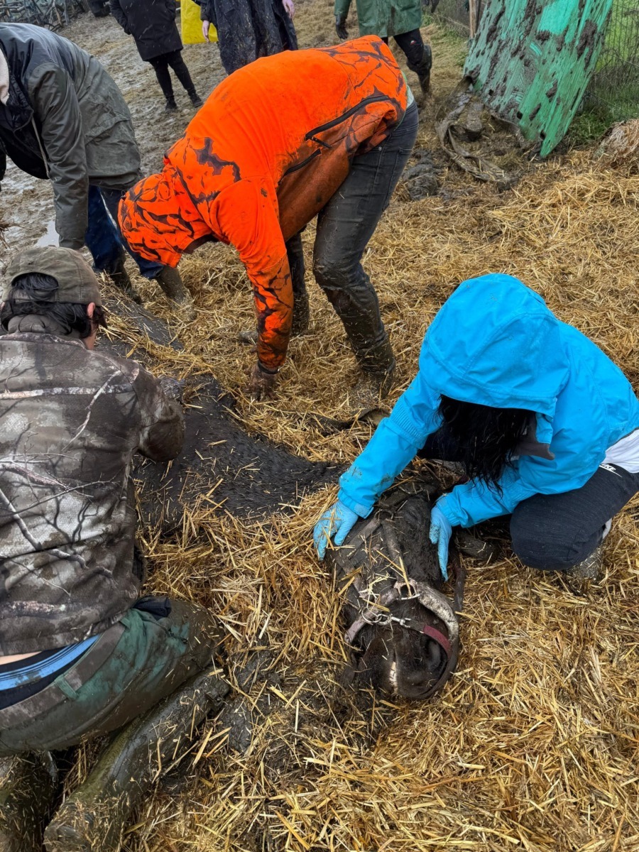 624743428_914418387621454_139313313678939931_n