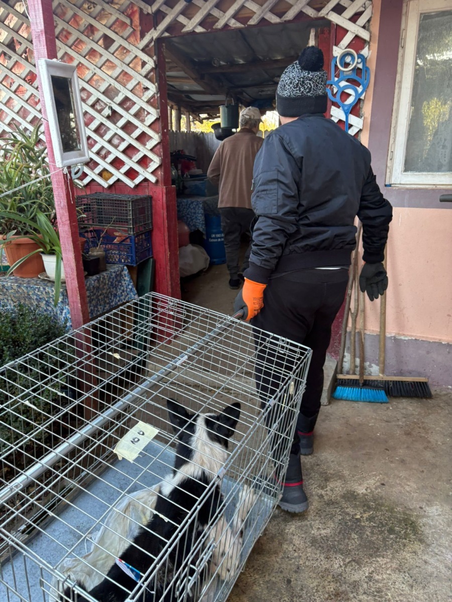 625006303_914418427621450_852760929821872155_n