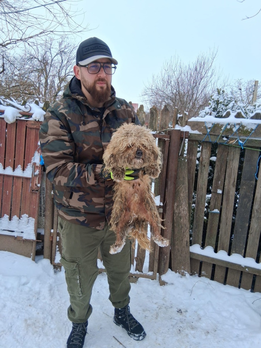 625010703_915332374196722_6265073664658587406_n