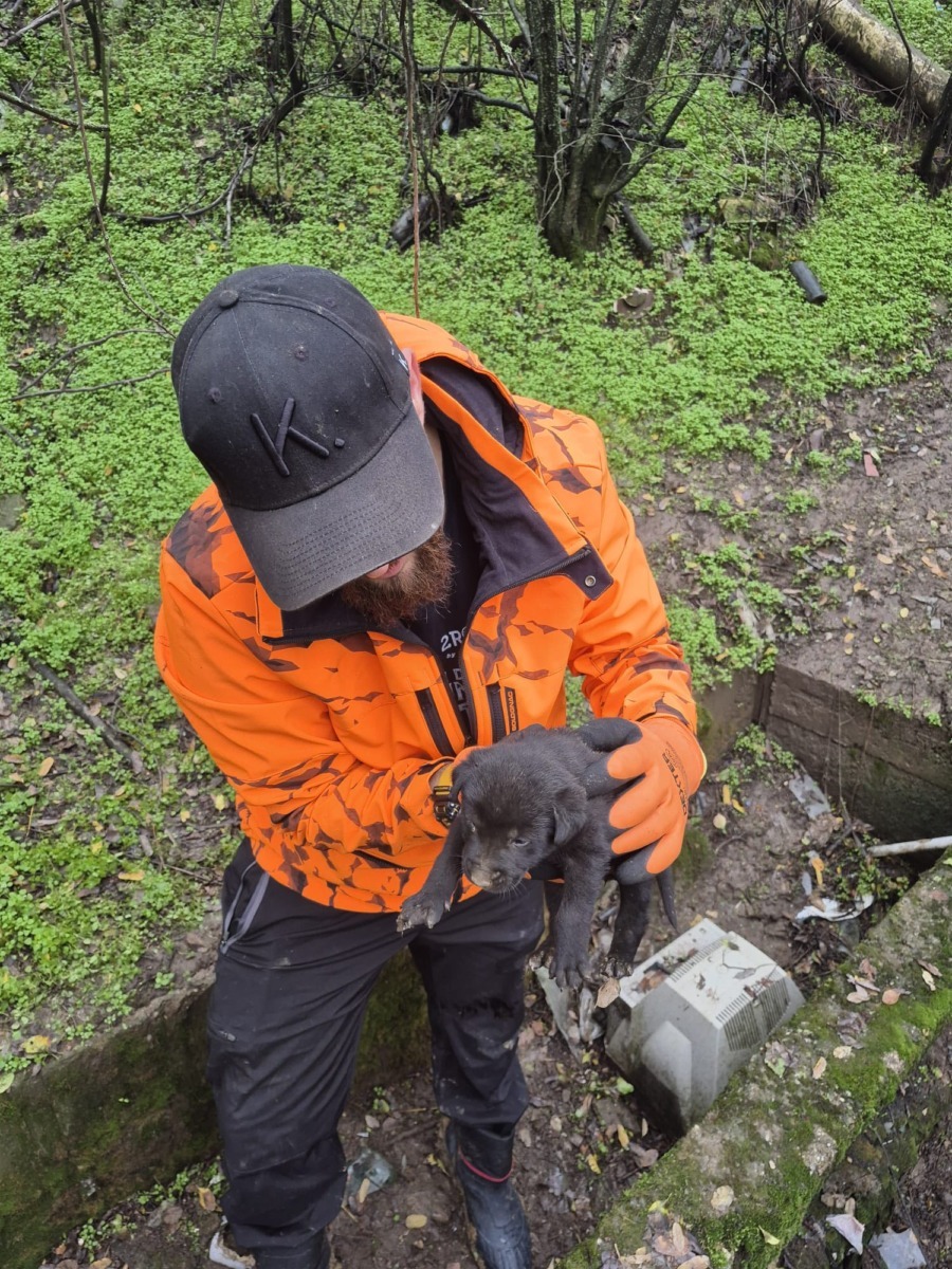 625044149_914418704288089_8285832836461392929_n