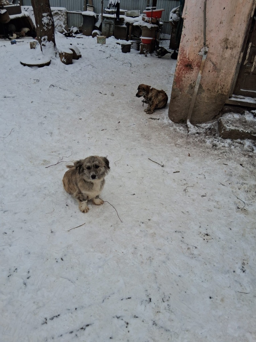 625896015_915332450863381_2637200140459590180_n