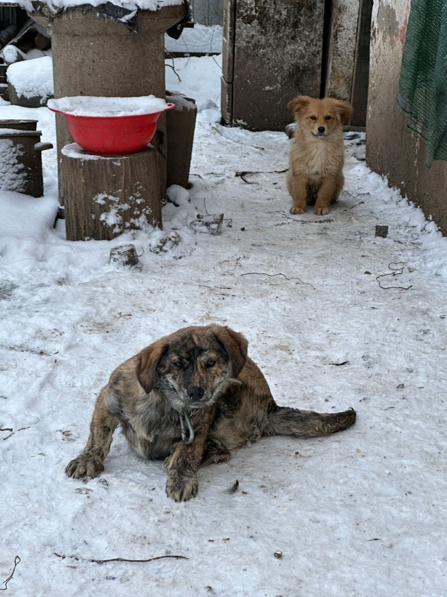 625948743_915332477530045_7940006145958003481_n