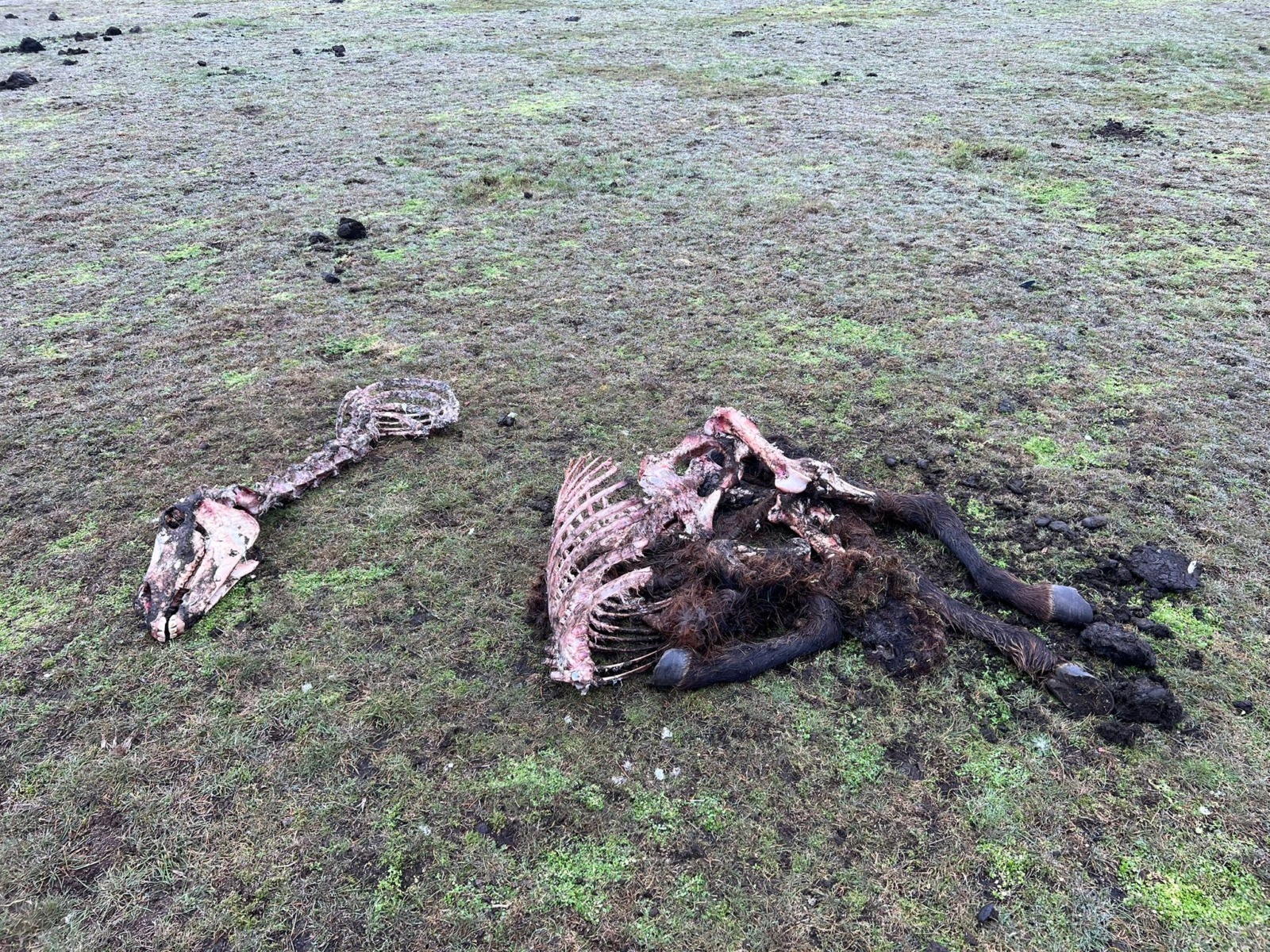 626138427_912741674584754_7294256202635255700_n