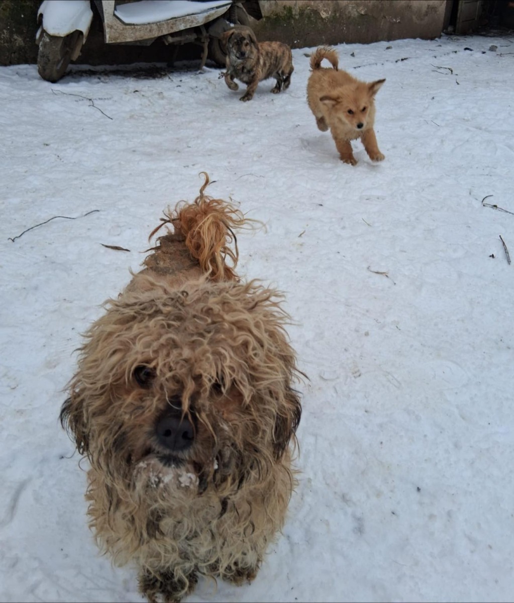 626247600_915330970863529_7206819254029949802_n