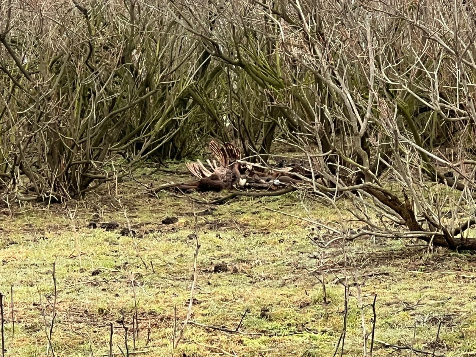 626269628_912741667918088_6689833249748670284_n