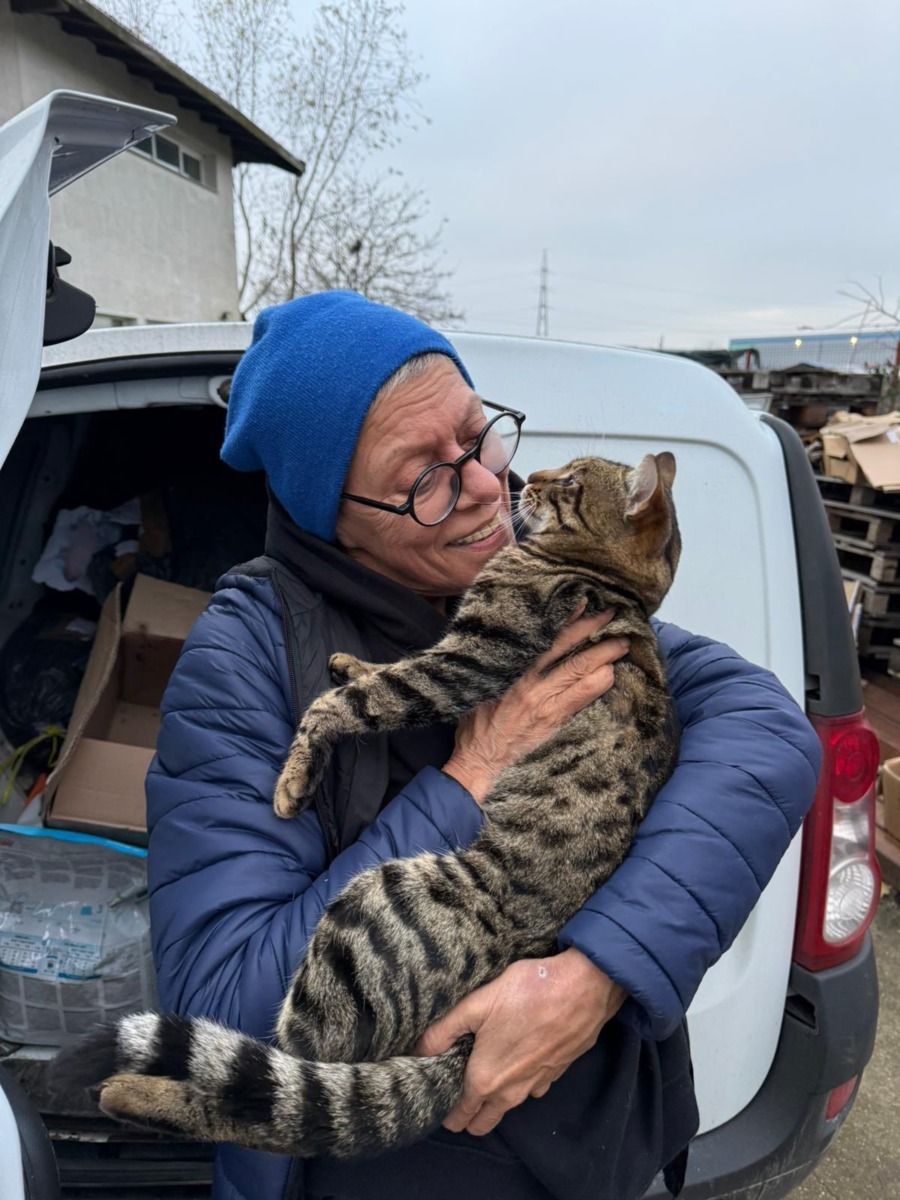 626417076_914418740954752_7246721448349126076_n