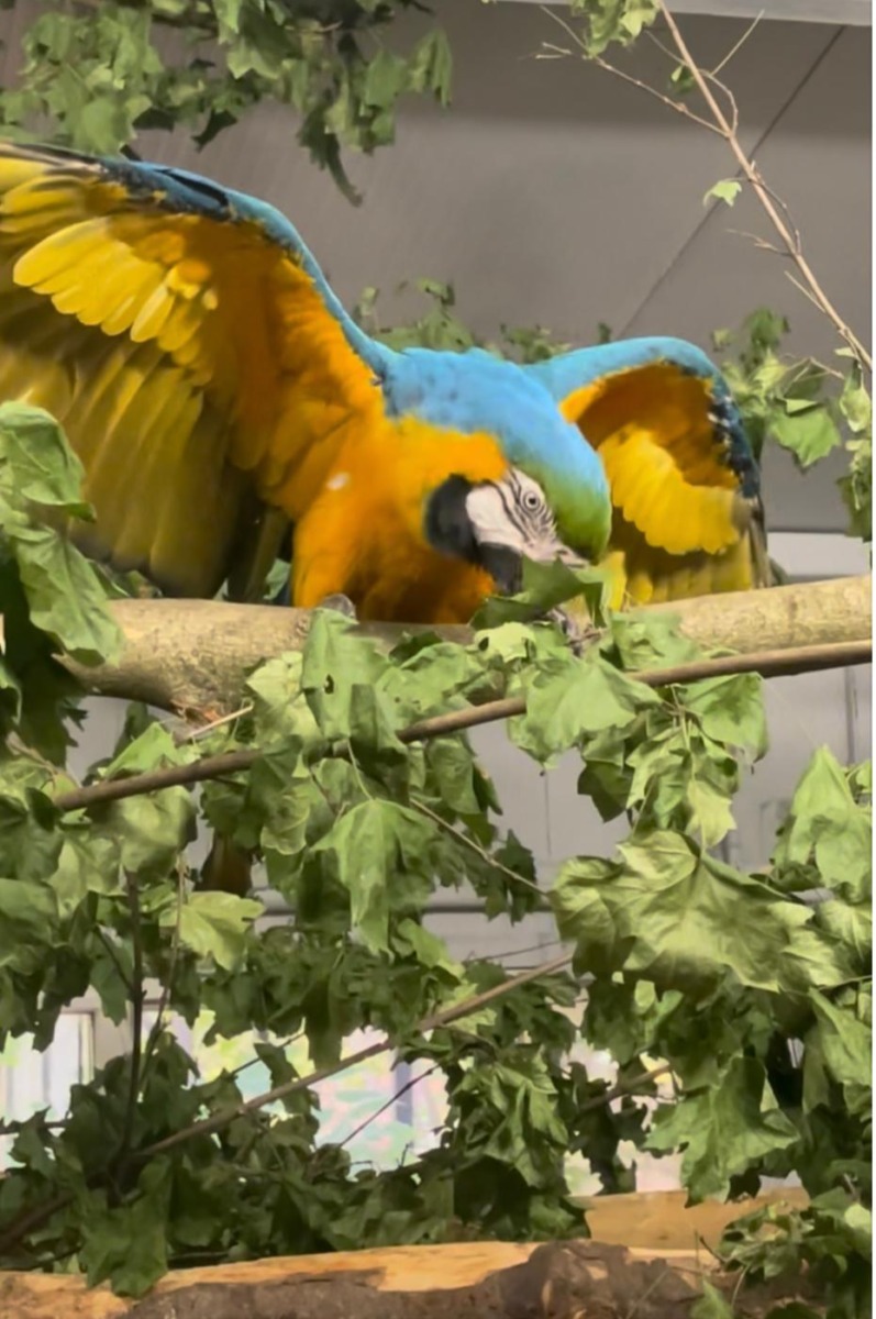 626822932_1239699578337744_4354919898872880708_n