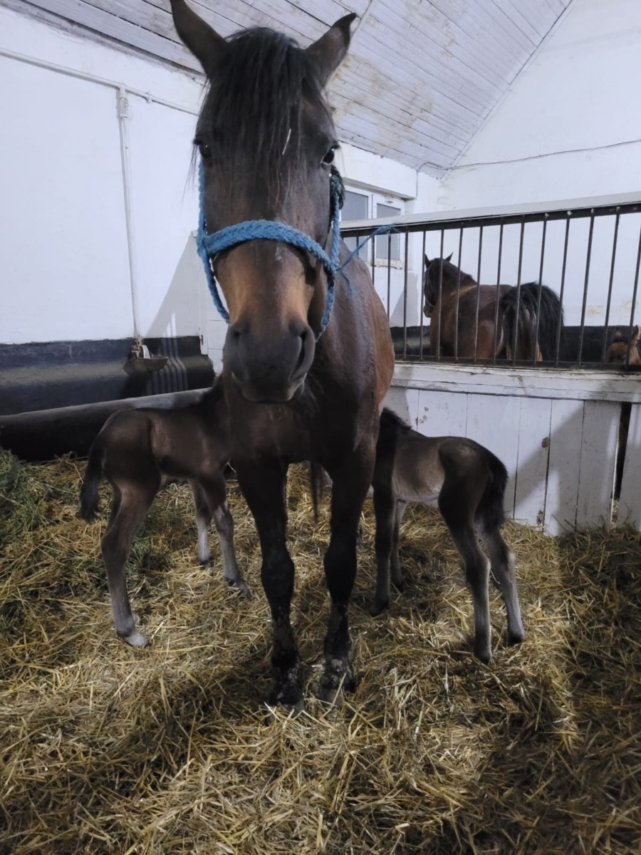 626842554_1317565350409106_5429063792015832883_n