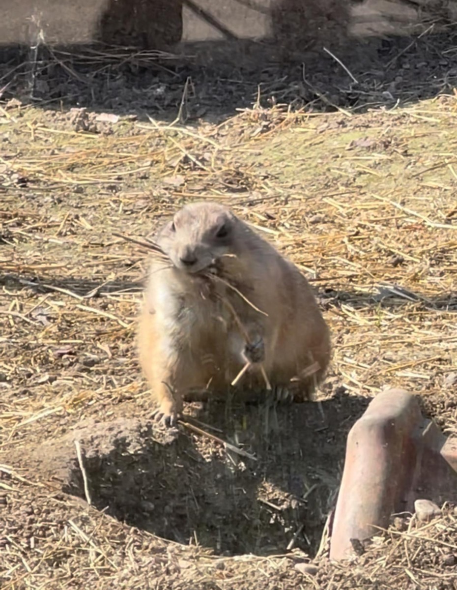 627040998_1239699848337717_1646069295048227397_n