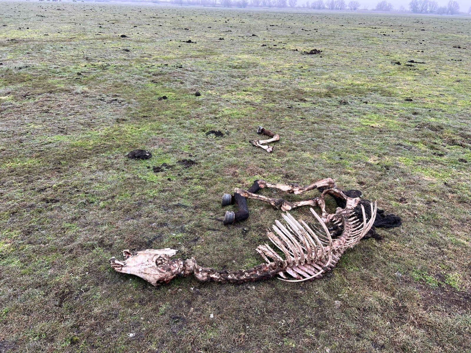 627051349_912741671251421_6471220669540337831_n