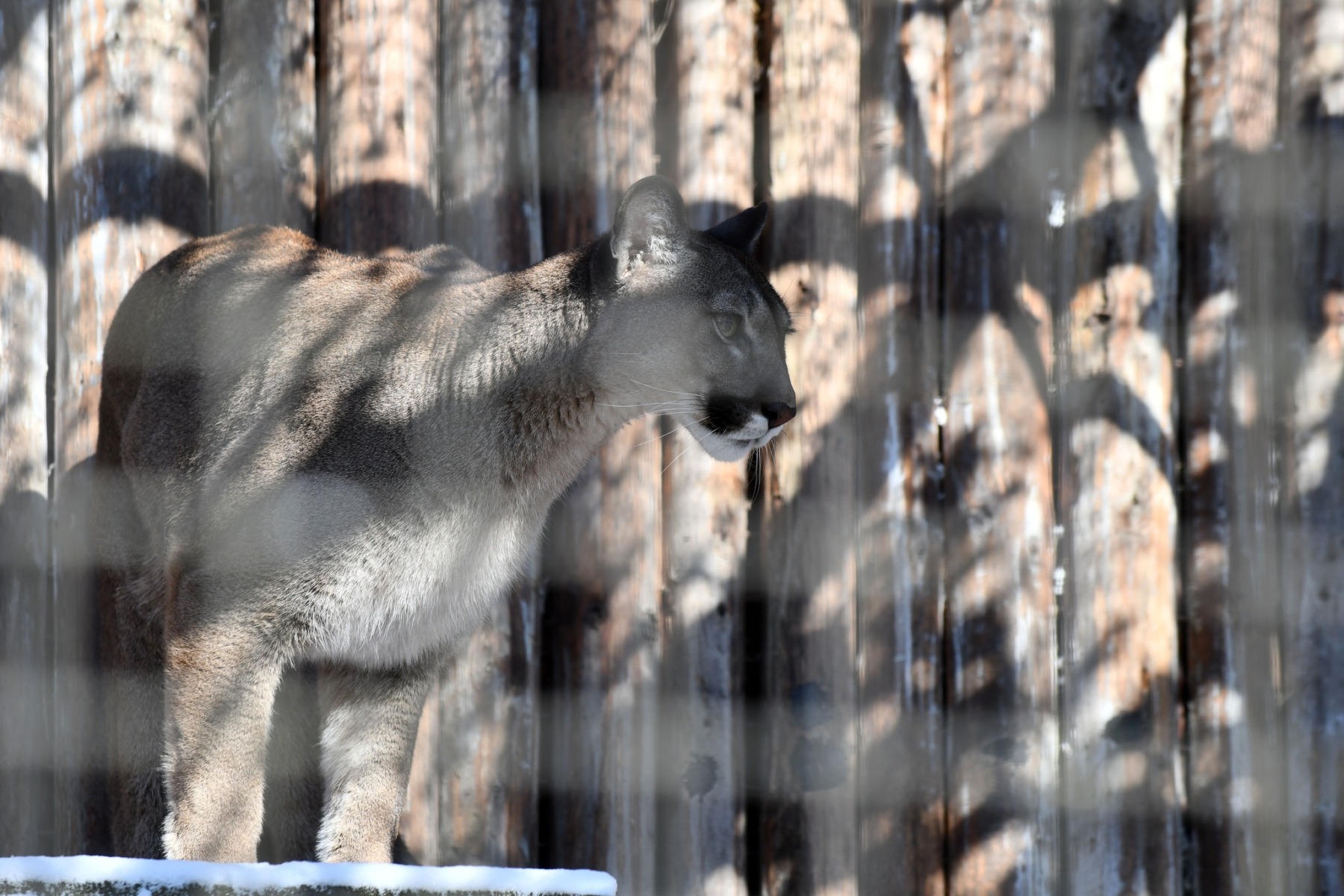 627348532_1239694545004914_7346396197963521908_n