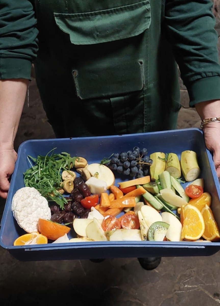 627368242_1239695275004841_5176750630277447836_n