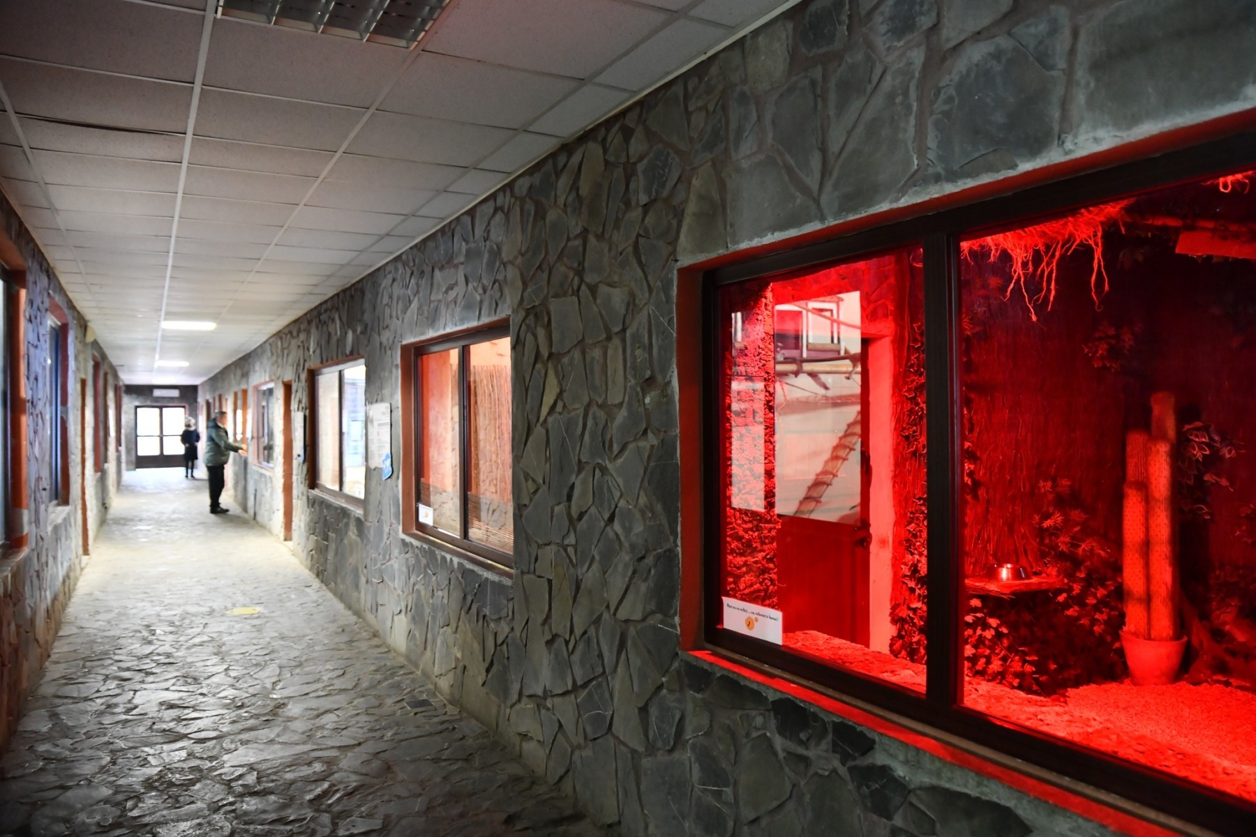 627381825_1239693855004983_233383255474550469_n